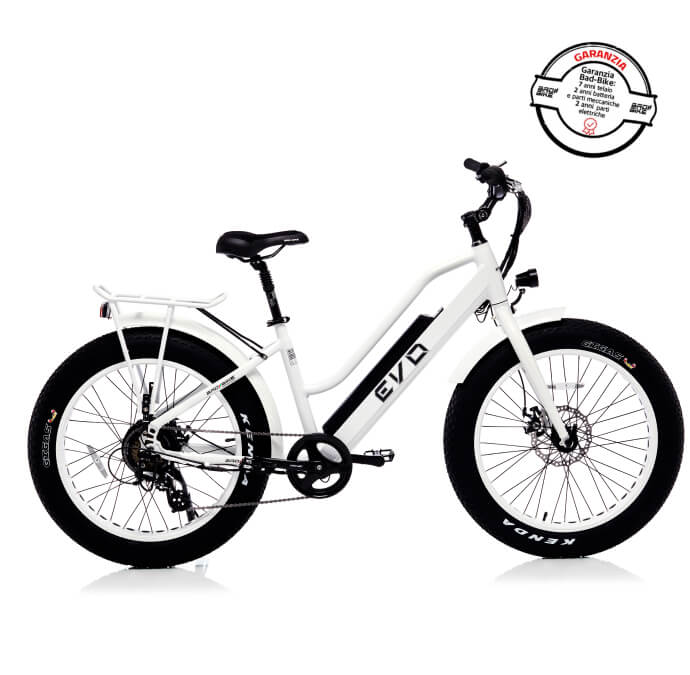 Evo dual motor store electric fat bike